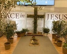 Garden of gethsemane olive branch cross