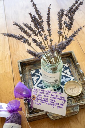 Tsp care homes 4