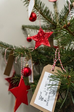 Tsp christmas tree 1