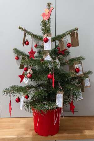 Tsp christmas tree 7