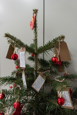Tsp christmas tree 8
