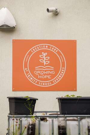 Tsp growing hope 3