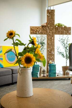 SHINE Sunflower (1)